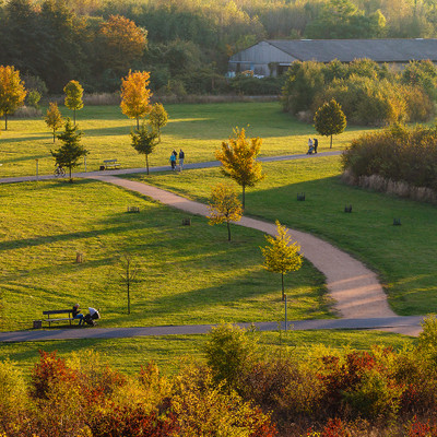 Лесопарк Летняны